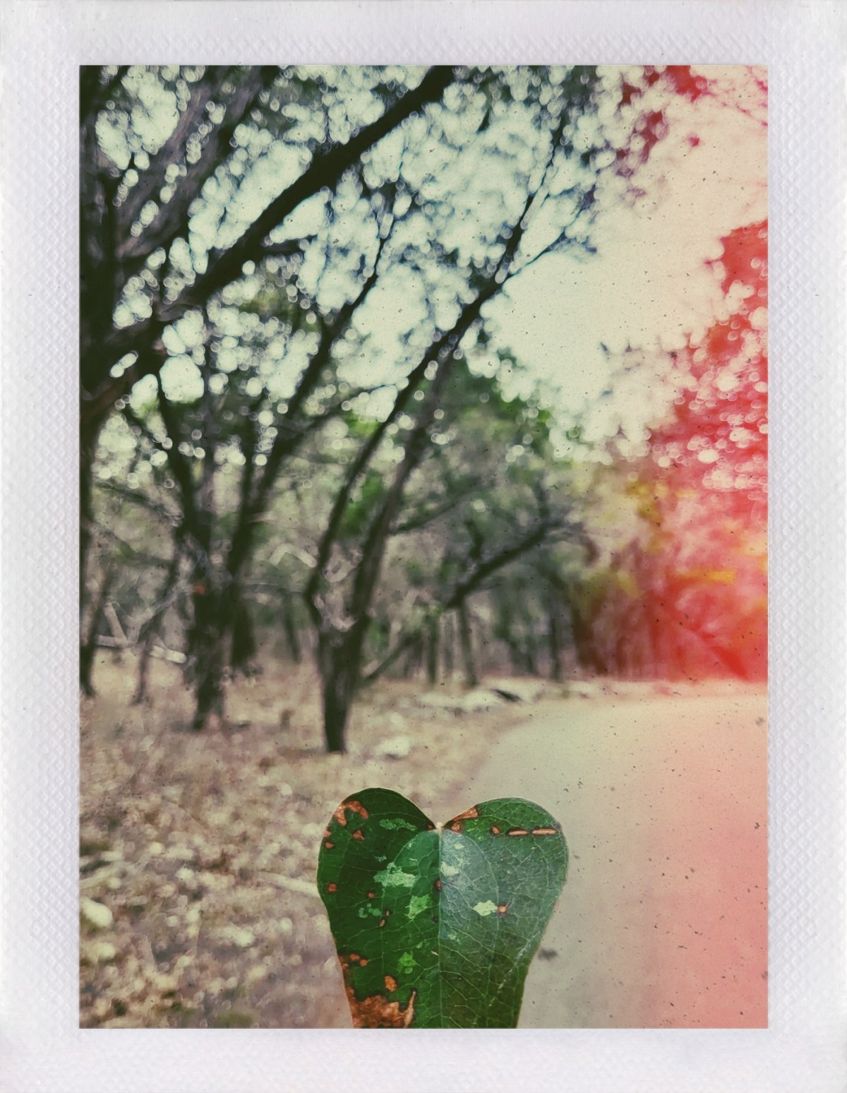 50 Shades of&nbsp;Me.