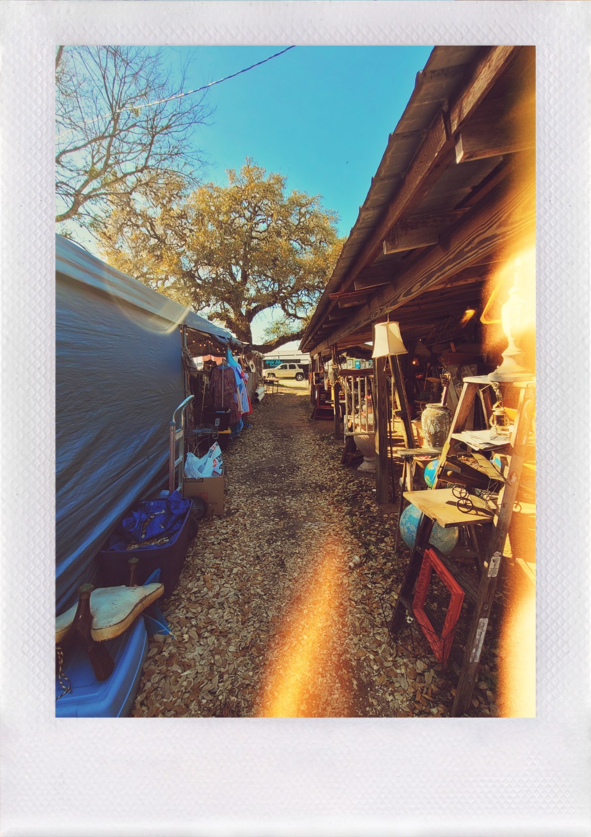 Sick in the&nbsp;Head.